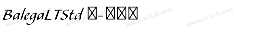 BalegaLTStd 中字体转换